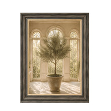 Rustic Potted Olive Tree Framed Wall Art  80cm x 60cm
