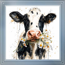 Daisy Cow Wall Art 85cm x 85cm