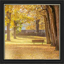 AUTUMN PARK YELLOW TREE WALL ART 85cm x 85cm