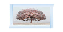 ENCHANTED TREE WALL ART 114cm x 64cm