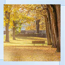 AUTUMN PARK YELLOW TREE WALL ART 85cm x 85cm
