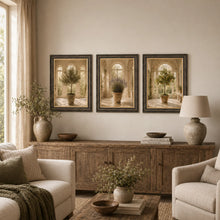 Rustic Potted Olive Tree Framed Wall Art  80cm x 60cm