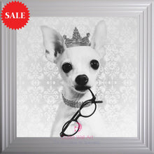 Quirky Chiwawa Wall Art 75cm x 75cm - Outlet Wall Art