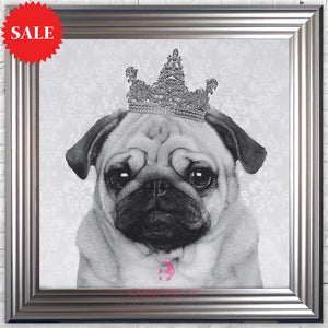 Quirky Crown Pug Wall Art 75cm x 75cm - Outlet Wall Art