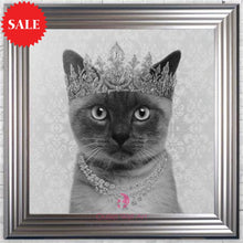 Quirky Siamese Cat Wall Art 75cm x 75cm - Outlet Wall Art