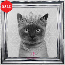 Quirky Siamese Cat Wall Art 75cm x 75cm - Outlet Wall Art