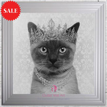 Quirky Siamese Cat Wall Art 75cm x 75cm - Outlet Wall Art