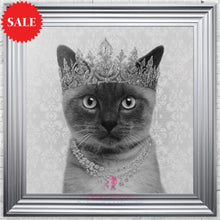 Quirky Siamese Cat Wall Art 75cm x 75cm - Outlet Wall Art