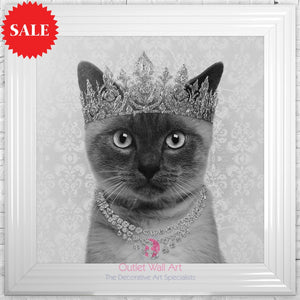 Quirky Siamese Cat Wall Art 75cm x 75cm - Outlet Wall Art