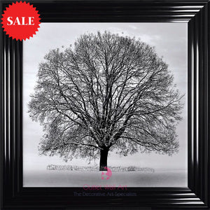 Winter Tree Wall Art 75cm x 75cm - Outlet Wall Art