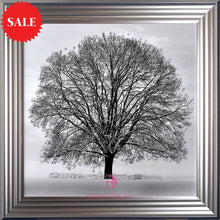 Winter Tree Wall Art 75cm x 75cm - Outlet Wall Art