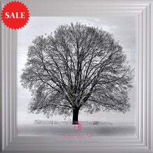 Winter Tree Wall Art 75cm x 75cm - Outlet Wall Art