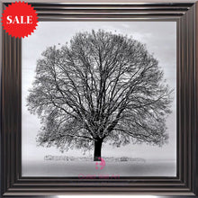 Winter Tree Wall Art 75cm x 75cm - Outlet Wall Art