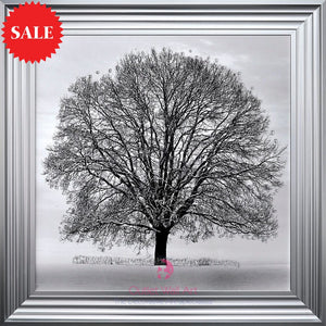 Winter Tree Wall Art 75cm x 75cm - Outlet Wall Art